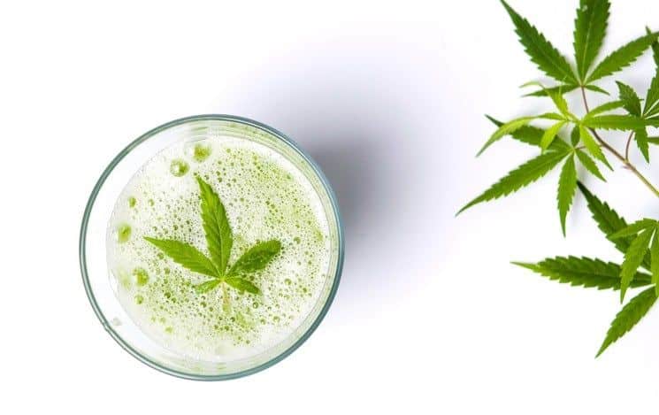 Green Marijuana Juice On White
