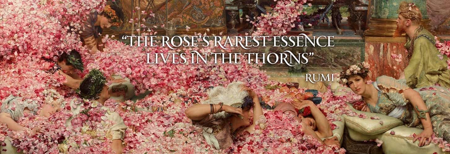 Lịch sử thương hiệu Rosense và HTX Gulbirlik nơi trồng hoa hồng bự nhất thế giới